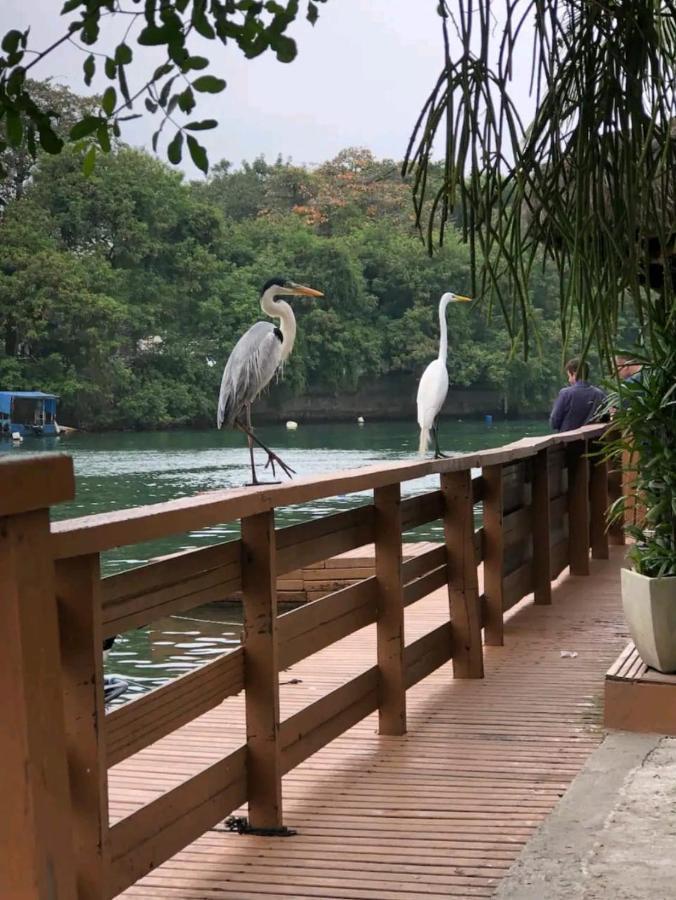 Barra Da Tijuca Rio De Janeiro Ilha Da Gigoia Daire Dış mekan fotoğraf